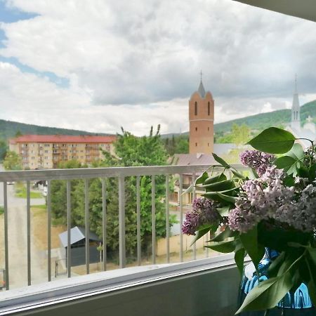 Apartament Gromadzyn 39 Ustrzyki Dolne Eksteriør bilde